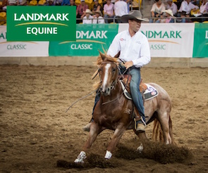 00146 one moore metallic wild fillies 295 x 246.jpg